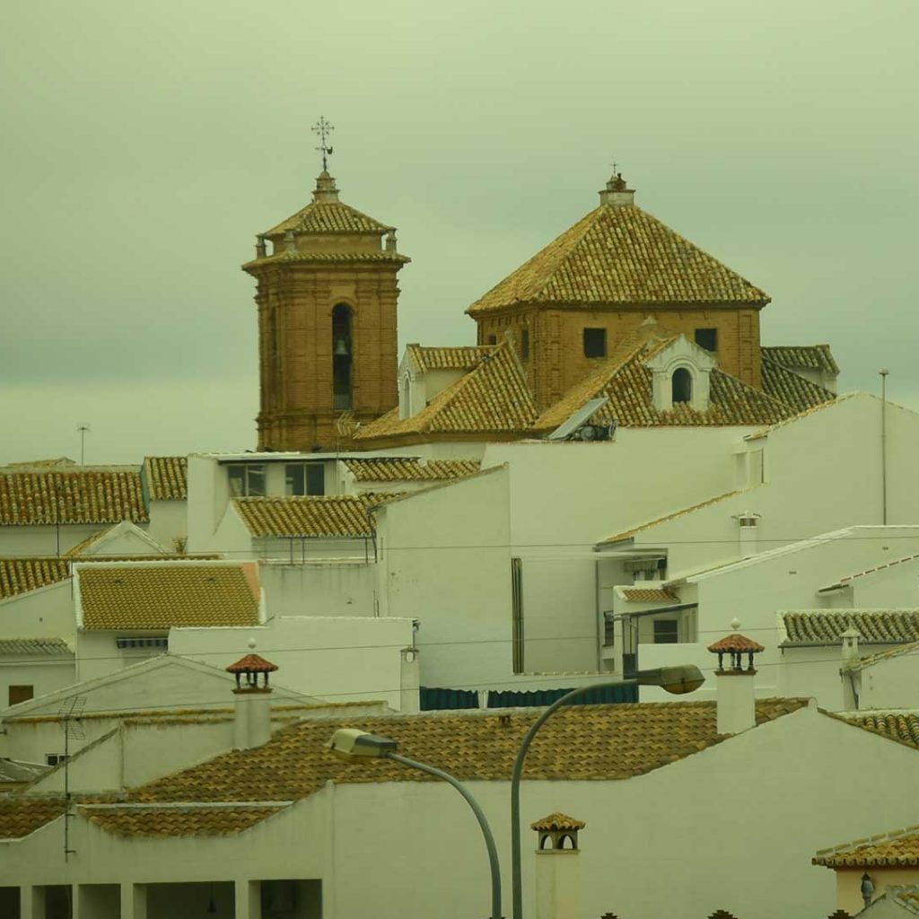 Palenciana (Córdoba) - Aceite de Oliva Virgen Extra
